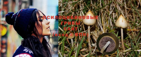 ALPHA PVP Горняк