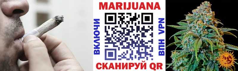 Купить где  Братск  Каннабис ГИДРОПОН 